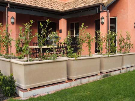 TROUGH PLANTERS (roll top)